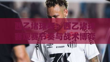 西乙堵球赛：西乙堵球赛观赛节奏与战术博弈，看懂(西乙堵球赛)背后的足球智慧-最大权威网页娱乐网代理1080P官网无插件低调看冠军
