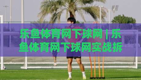 乐鱼体育网下球网 | 乐鱼体育网下球网实战拆解：从选场到出手的节奏感，为什么老手更看重(乐鱼体育网下球网)的临场判断-线上十大最稳让球站赛程投注录像回放策略波胆积分榜