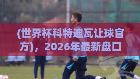 (世界杯科特迪瓦让球官方)，2026年最新盘口深度解析与投注策略