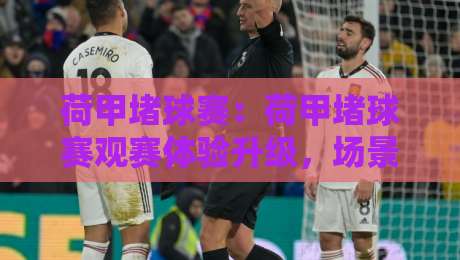 荷甲堵球赛：荷甲堵球赛观赛体验升级，场景化预判助你读懂比赛节奏-网上热门堵球网入口无解说半场波胆登录交流攻略
