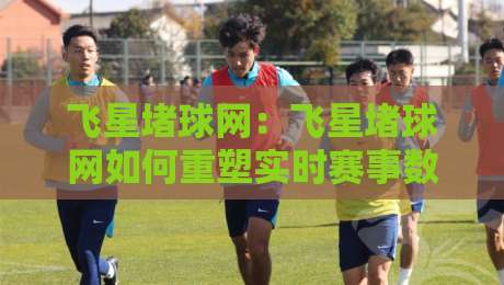 飞星堵球网：飞星堵球网如何重塑实时赛事数据体验？【飞星堵球网】多维度拆解-网上热门投球站小球粤语解说高水贴水在线原声解说