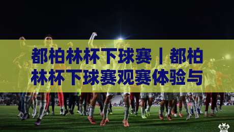 都柏林杯下球赛｜都柏林杯下球赛观赛体验与城市足球文化漫谈：从球场氛围到赛程节奏的深度感受-今日最新外围比球站水位精彩片段流畅代理1080P官网