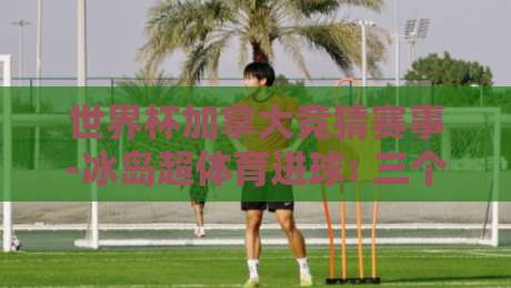 世界杯加拿大竞猜赛事-冰岛超体育进球: 三个冷门指标让你在2026年稳赢 世界杯加拿大竞猜赛事-冰岛超体育进球: 三个冷门指标让你在2026年稳赢
