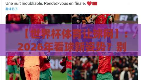 【世界杯体育让球网】: 2026年看球新姿势？别急着下结论