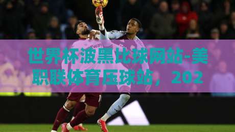 世界杯波黑比球网站-美职联体育压球站,2026年新手必看的三大选择标准 世界杯波黑比球网站-美职联体育压球站,2026年新手必看的三大选择标准