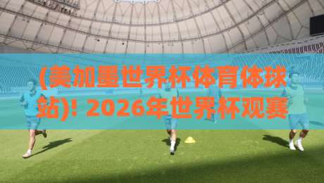 (美加墨世界杯体育体球站)! 2026年世界杯观赛指南与隐藏玩法大揭秘