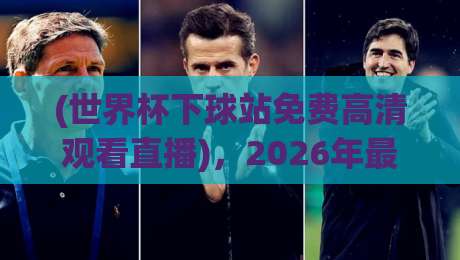 (世界杯下球站免费高清观看直播)，2026年最全观赛指南！