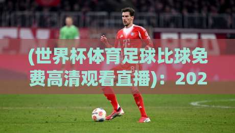(世界杯体育足球比球免费高清观看直播)：2026年球迷必知的五大观赛渠道解析