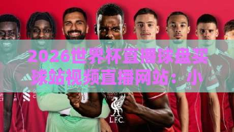 2026世界杯直播球盘买球站视频直播网站:小心陷阱,教你找到真正靠谱的观赛平台