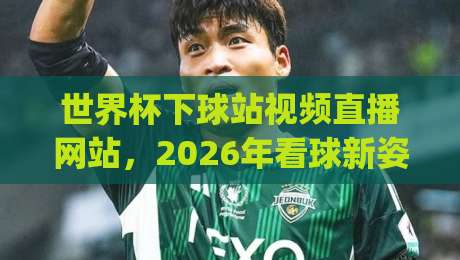 世界杯下球站视频直播网站，2026年看球新姿势？(深度评测)