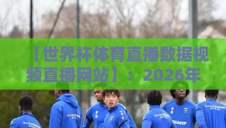【世界杯体育直播数据视频直播网站】:2026年看球新姿势,这些平台让你边看边玩数据