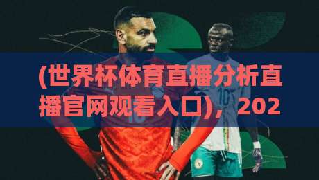 (世界杯体育直播分析直播官网观看入口),2026年看球赛的硬核指南(含避坑提醒)