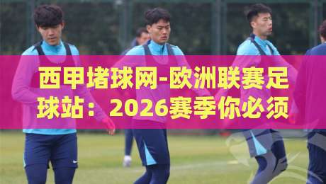 西甲堵球网-欧洲联赛足球站：2026赛季你必须知道的五大变化与观赛秘籍
