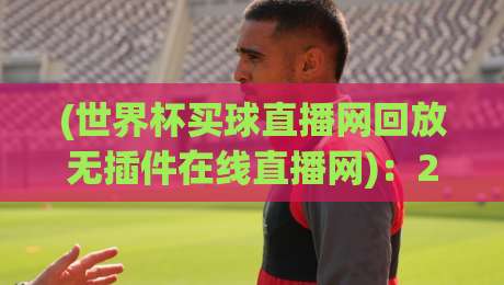 (世界杯买球直播网回放无插件在线直播网):2026年看球新姿势,老球迷都懂的“零延迟”体验