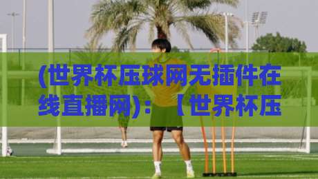 (世界杯压球网无插件在线直播网):【世界杯压球网无插件在线直播网】2026年观赛新姿势,你试过吗?