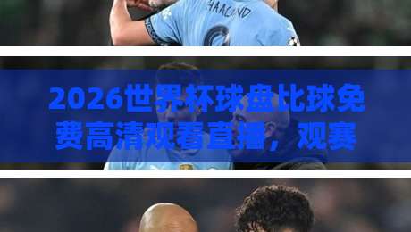 2026世界杯球盘比球免费高清观看直播,观赛老司机教你避坑