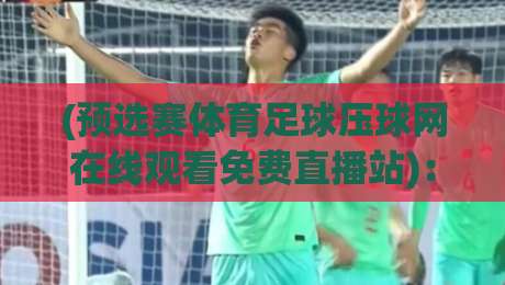 (预选赛体育足球压球网在线观看免费直播站):2026年足球预选赛观赛全攻略