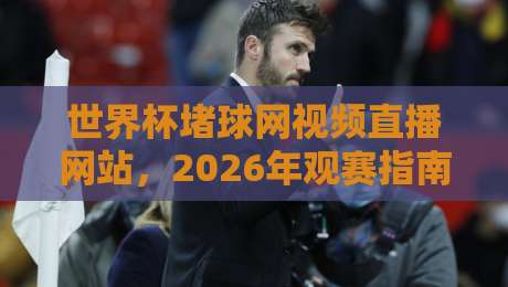 世界杯堵球网视频直播网站,2026年观赛指南与避坑手册